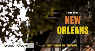 Exploring the Vibrant Legacy of Will Wood in New Orleans