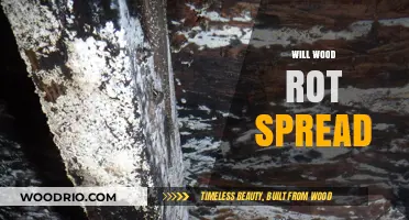 Will Wood Rot Spread: Understanding and Preventing Timber Decay