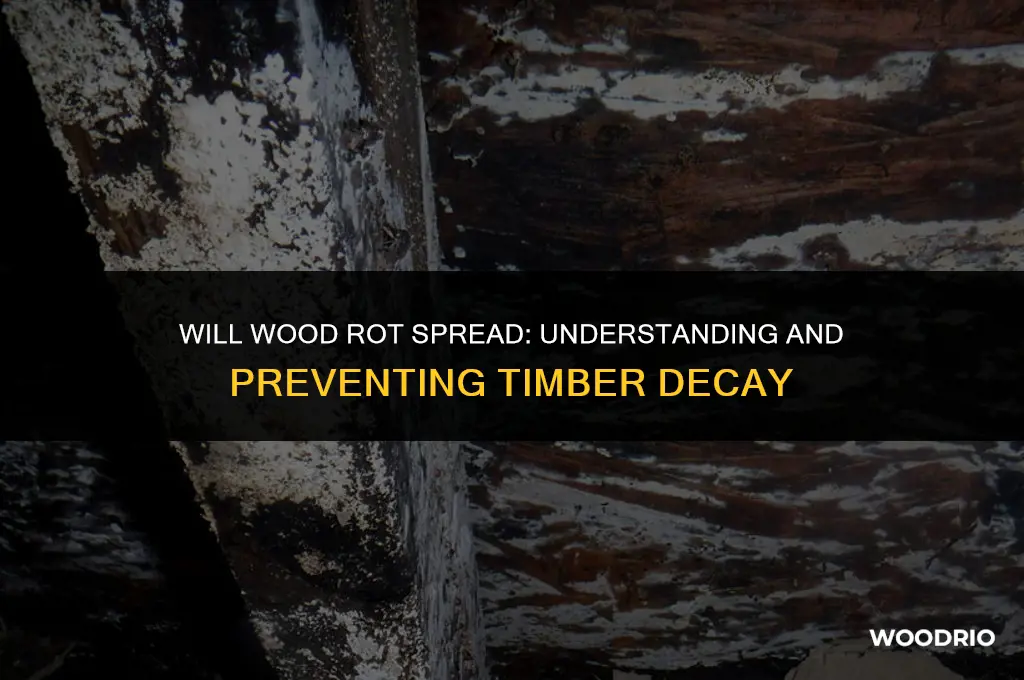 will wood rot spread