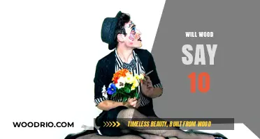 Exploring the Enigma: Will Wood's Decade of Influence