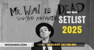 Exploring Will Wood's Anticipated 2025 Concert Setlist