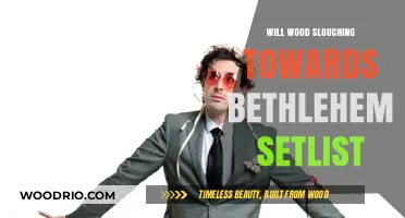 Exploring the Setlist: Will Wood's Journey to Bethlehem