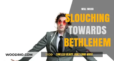 Will Wood's Journey: Slouching Towards Bethlehem