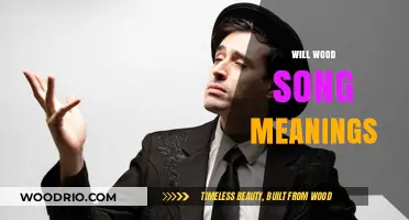 Exploring the Depths: A Journey Through Will Wood's Lyrical Landscape