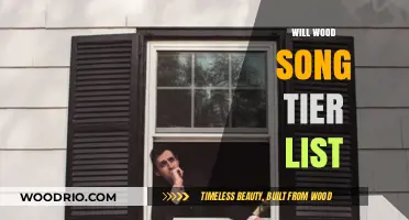 Ranking Will Wood's Discography: A Comprehensive Song Tier List