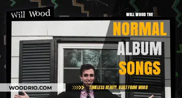 Exploring the Sonic Landscape of Will Wood's 'The Normal Album