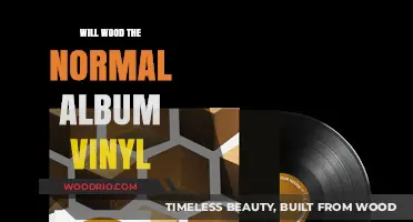 Exploring the Unique Charm of 'Will Wood the Normal' on Vinyl
