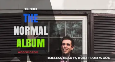 Exploring the Sonic Landscape of Will Wood's 'The Normal Album