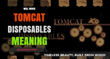 Exploring the Significance of Will Wood's Tomcat Disposables