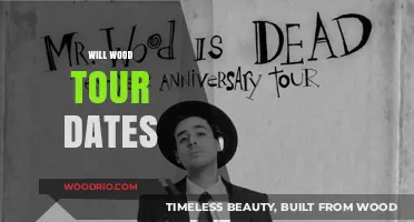 Exploring the Upcoming Will Wood Tour: Dates and Highlights