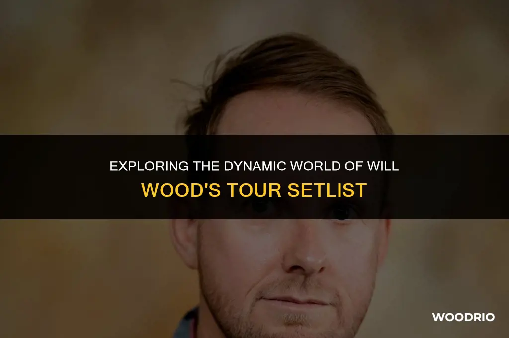 will wood tour setlist