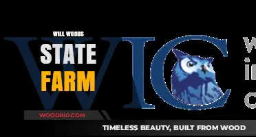 Exploring the Benefits of Will Woods State Farm Insurance