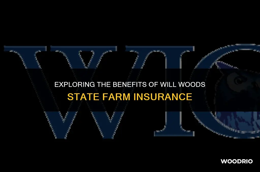 will woods state farm