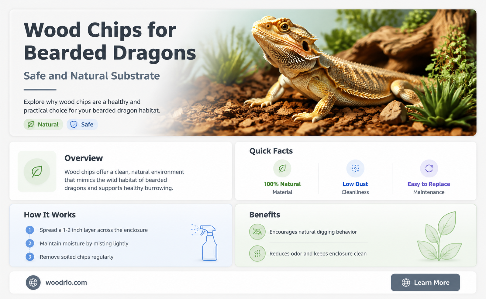 are wood chips good for bearded dragons